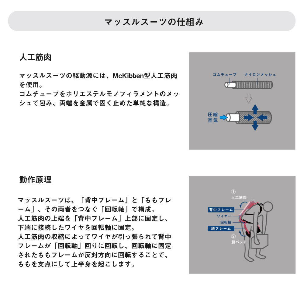 楽天市場】INNOPHYS イノフィス マッスルスーツEvery タイトフィット