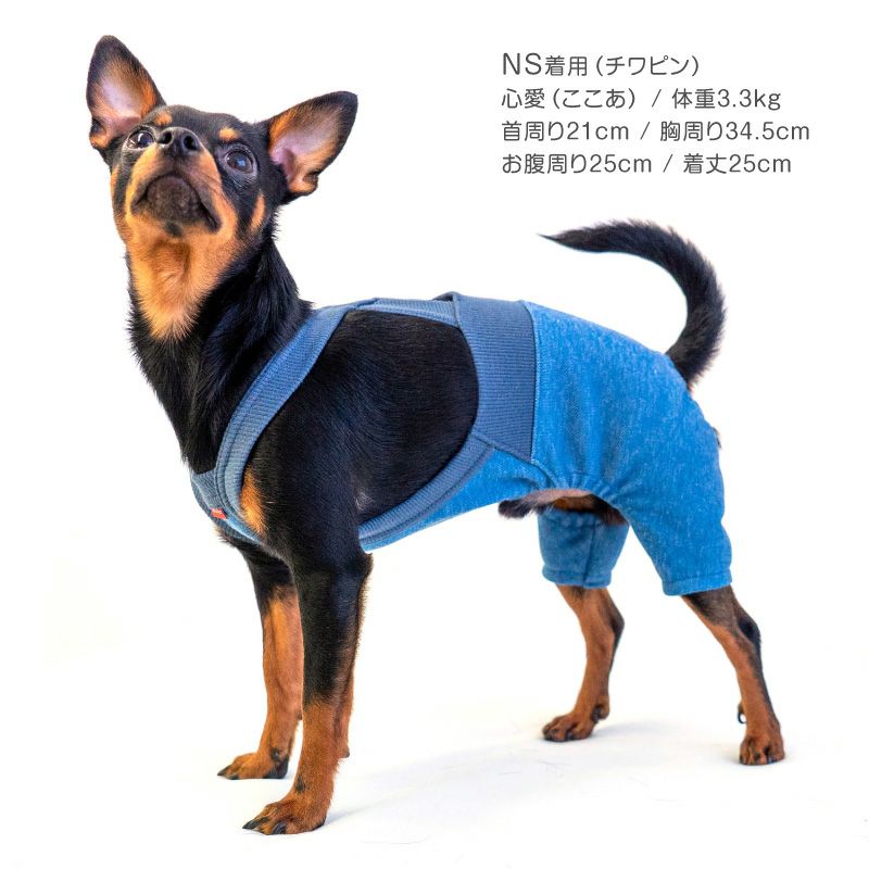 楽天市場】犬 服 春 デニム ニット サロペット パンツ おそろコーデ