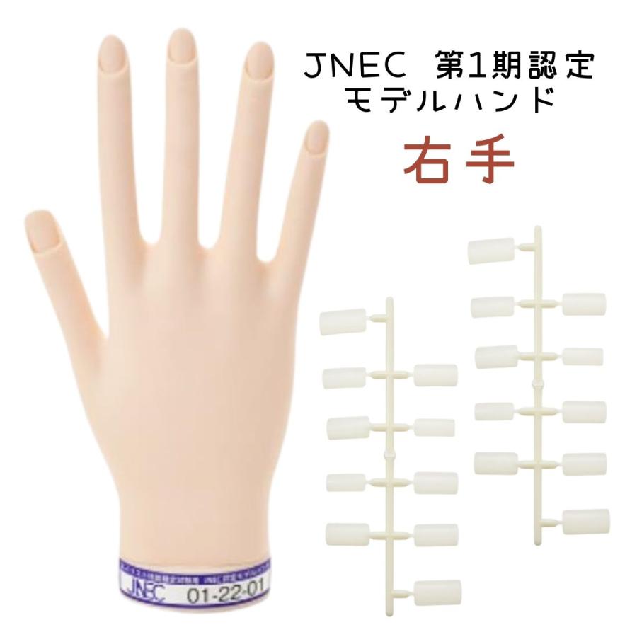 JNEC認定モデルハンド 骨折なし ネイリスト技能検定試験用 JNEC