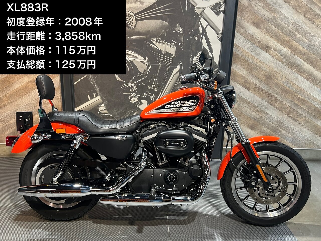 XL883R入荷しました✨ : HARLEY-DAVIDSON SAKURAI BLOG （旧称
