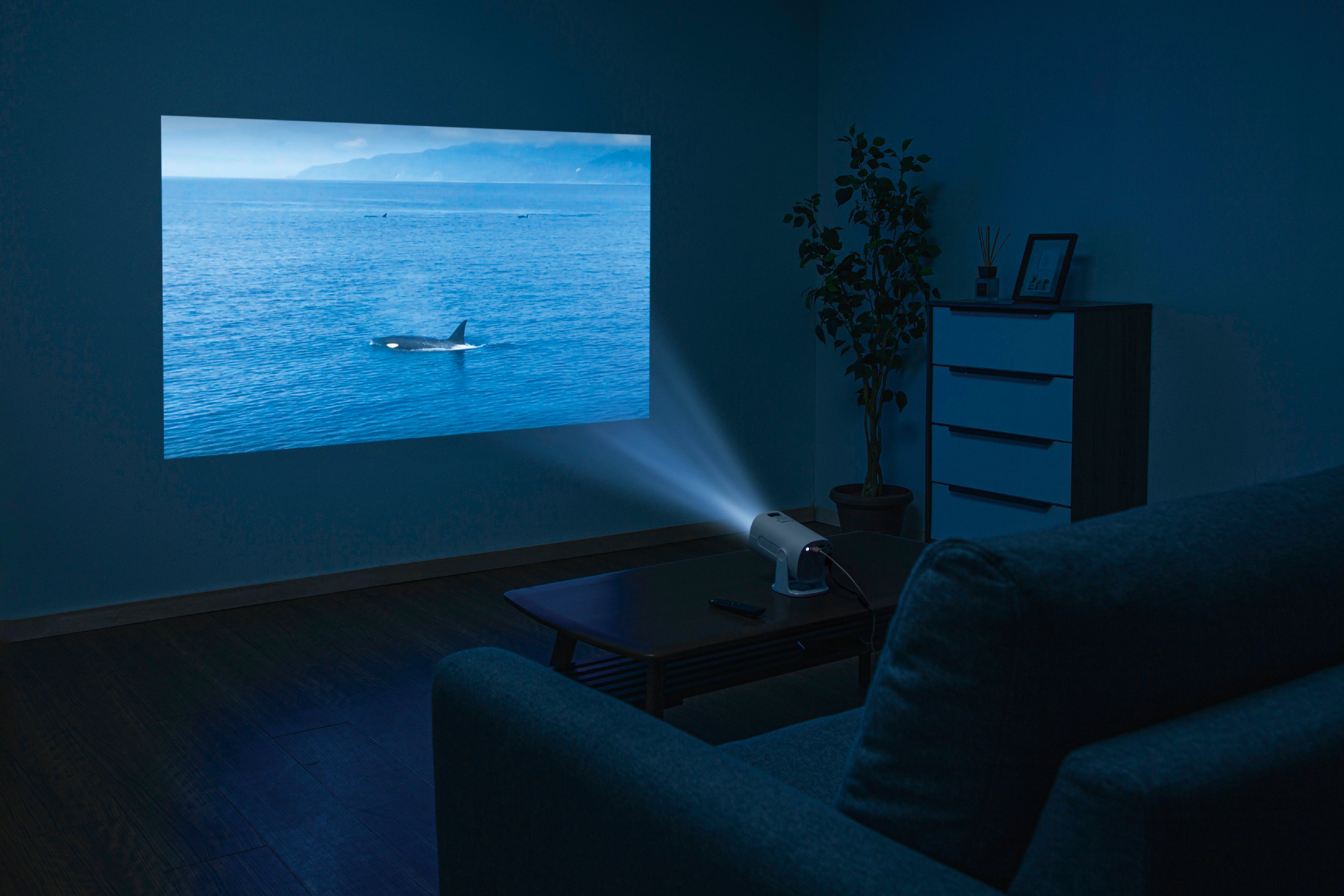 ニトリ】簡単設置で、どこでも大画面が楽しめる！1万円を切る