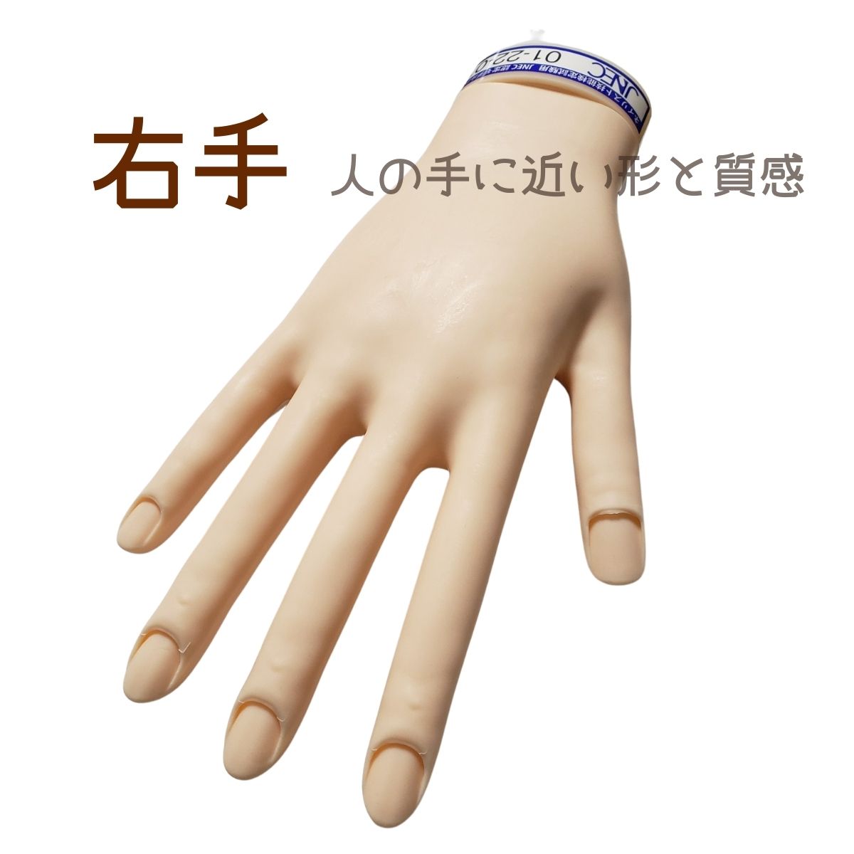 JNEC認定モデルハンド 骨折なし ネイリスト技能検定試験用 JNEC