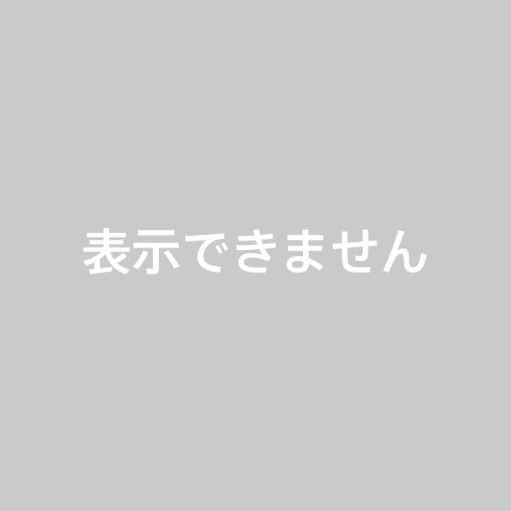 Hロゴ Hパンチング ショルダーバッグ ショルダーストラップ2本付き 最高級革 Hロゴ Hパンチング ショルダーバッグ ショルダーストラップ2本付き 最