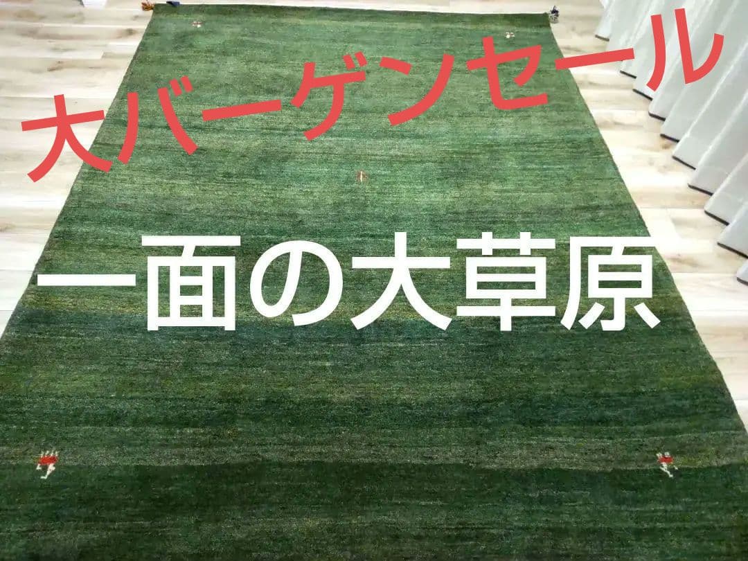 超激安ハンドメイド 最高級 大型ギャベ 長い毛足　 259×201 一生物ラグ 0.jpg