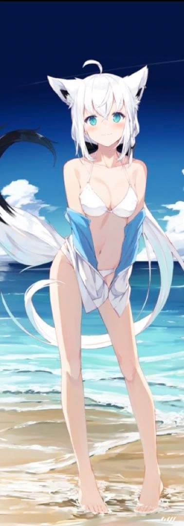 白上フブキ 等身大タペストリー 凪白みと - メルカリ