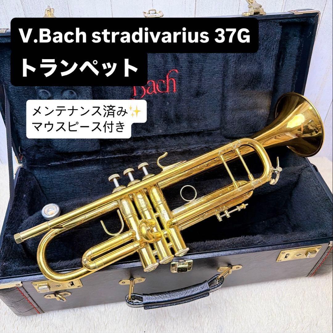 2026年最新】Yahoo!オークション -bach トランペット stradivarius
