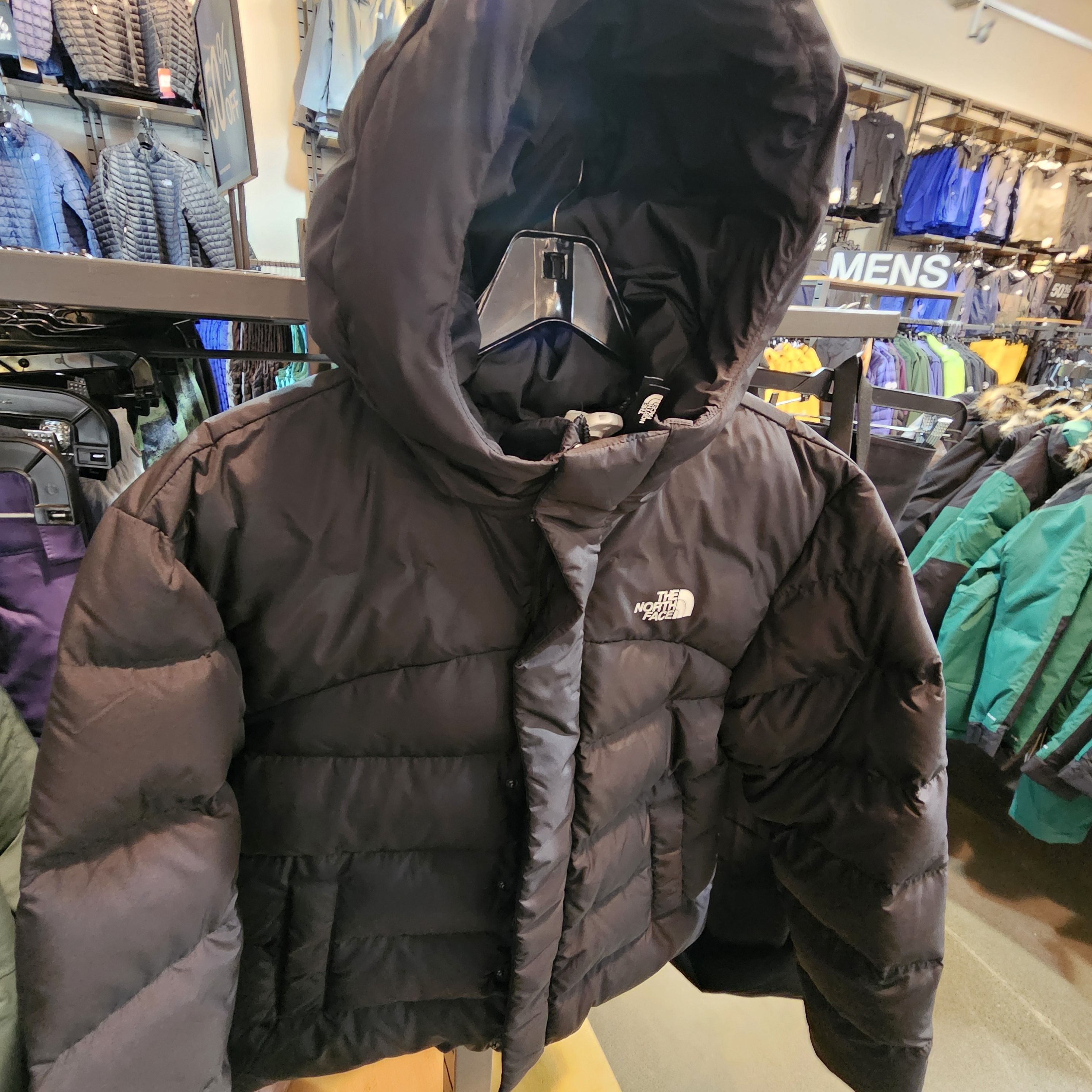 海外限定 ノースフェイス 600フィル ダウン パーカー ジャケット (THE